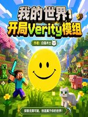 我的世界：開局verity模組