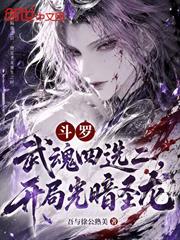 斗羅：武魂四選二，開局光暗聖龍