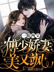 一胎二寶：傅少嬌妻美又颯