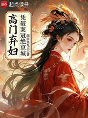 高門棄婦憑破案冠絕京城