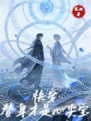 快穿：替身才是心尖寶