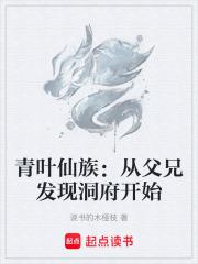 青葉仙族：從父兄發現洞府開始