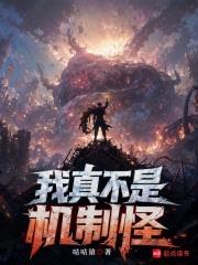 我真不是機制怪