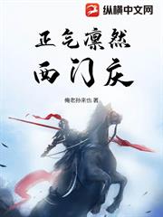正氣凜然西門慶