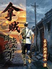 拿賊：緝盜五十年