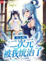 什麼叫二次元被我統治了