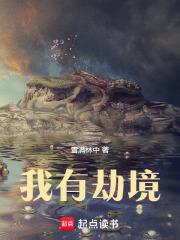 我有劫境