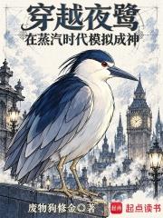 穿越夜鷺，在蒸汽時代模擬成神
