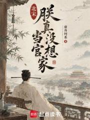 北宋：朕真沒想當官家