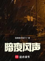 暗夜風聲