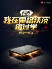 兩界：我在霍格沃茨留過學