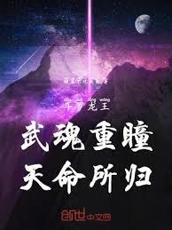 斗羅龍王：武魂重瞳，天命所歸！